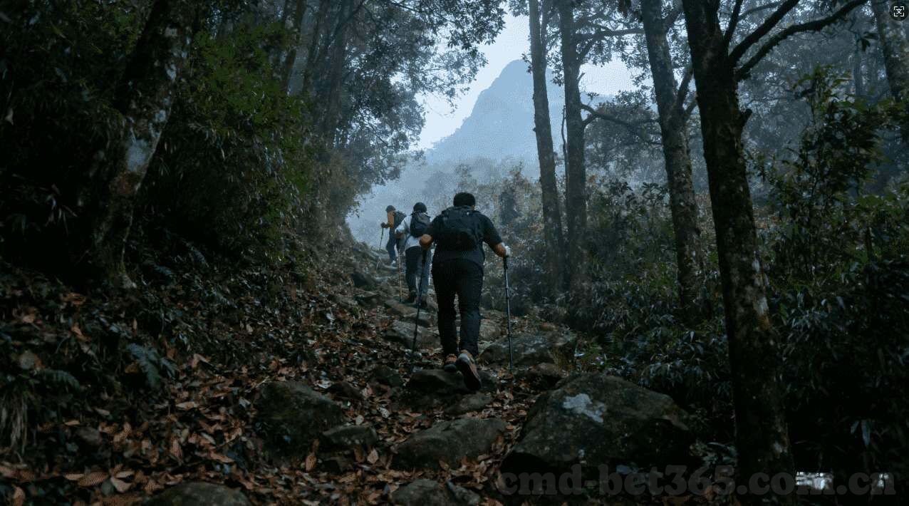 德州扑克出千技巧-德州扑克出千技巧，合法策略与非法手段的界限